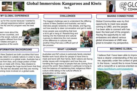 Global Experience - Education Abroad Capstone Poster